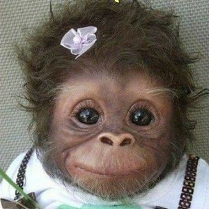 Meet your Posher, Greg